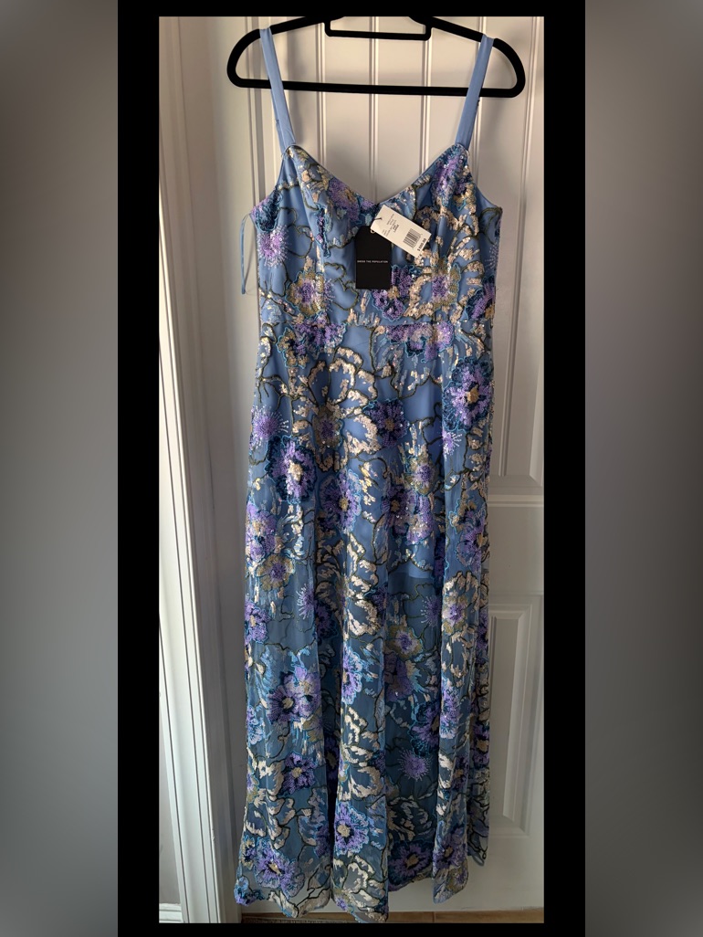 Dress The Population Sky Blue Floral Sequin Gown